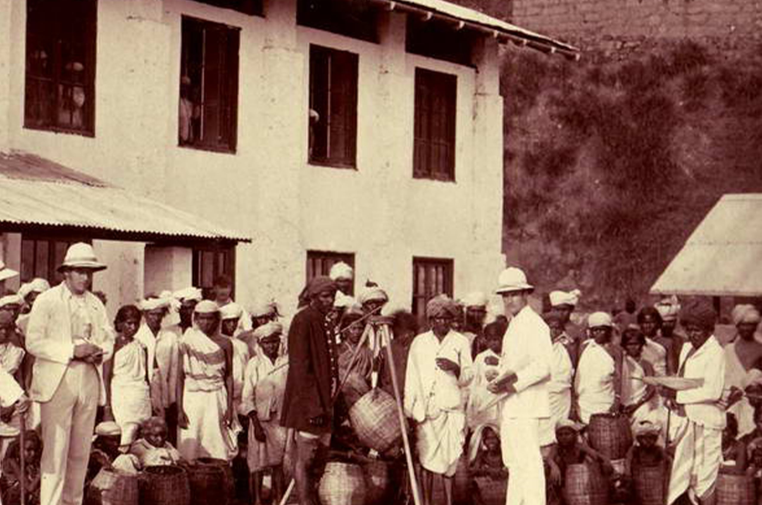 The Fascinating History of Ceylon Tea