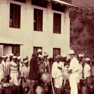 The Fascinating History of Ceylon Tea | Sir James Taylor